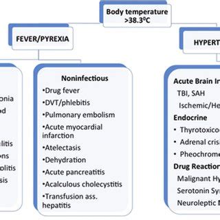intermittent fever differential diagnosis